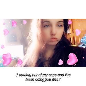 Meet your Posher, Allie